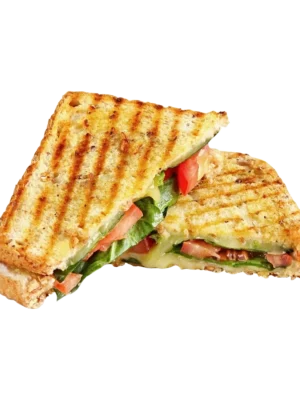 panini-grilled-sandwich-image