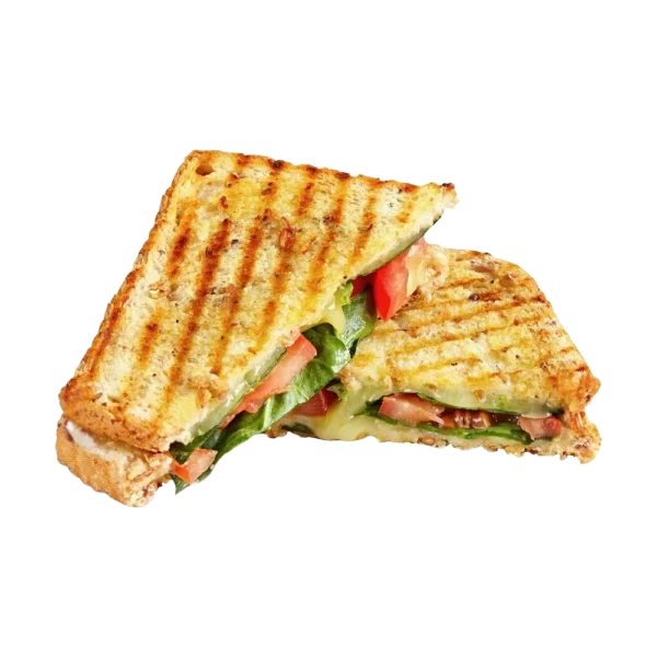 panini-grilled-sandwich-image